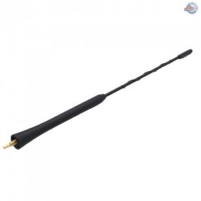 679665 - Antenna rövid